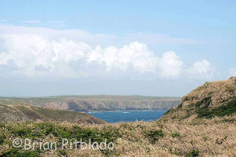 skomer482.jpg