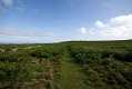 skomer071