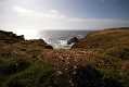 skomer109