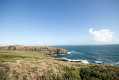 skomer155